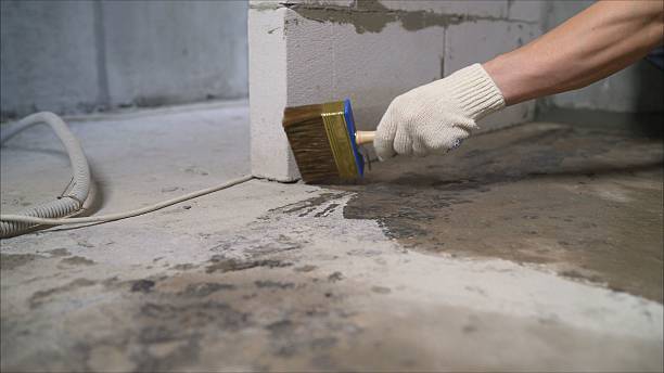 24/7 Emergency Wet Basement Repair experts in Hudsonville, MI